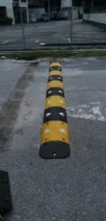 Rubber Speed Hump With Cat Eyes RH2535N